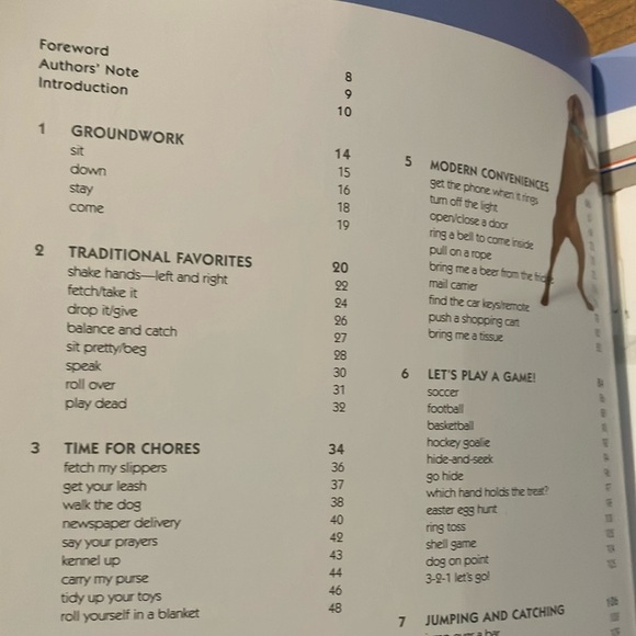 101 Dog Tricks Book: step by step activities to engage, challenge and bond - Picture 6 of 16